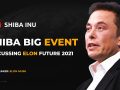 Elon Musk:You will become Shiba Millionaires. Shiba Inu Future Price $0.1. SHIBA BIGGEST NEWS LIVE!